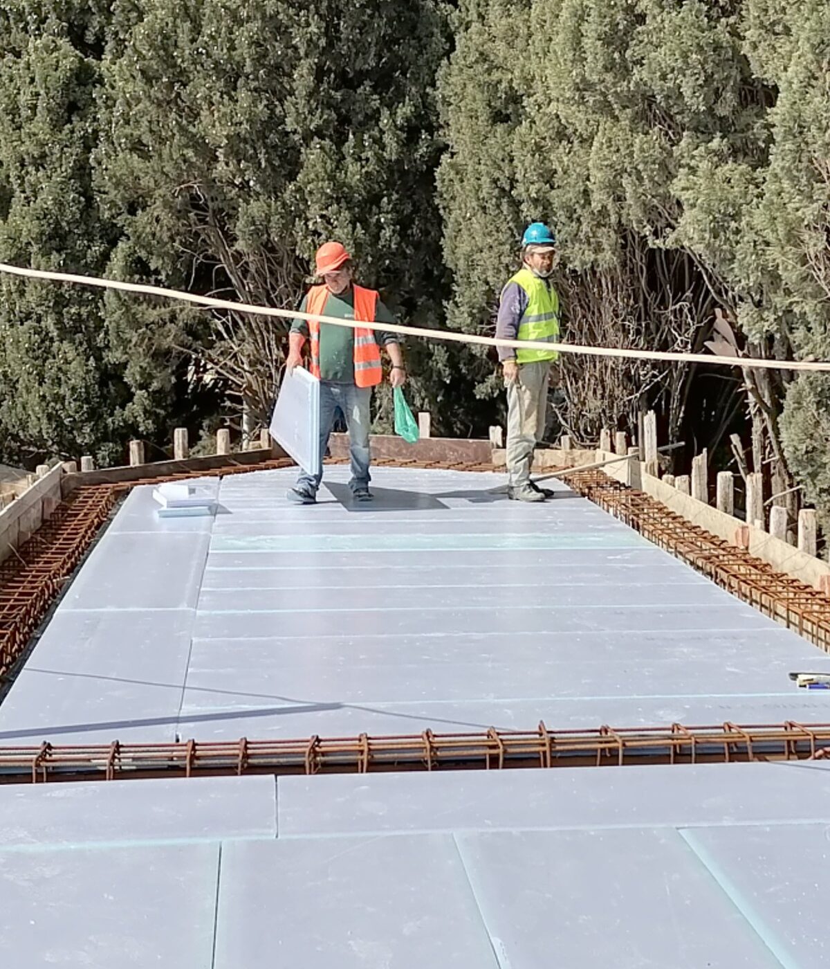 IMG_20210225_114530 IMG_20210225_114530